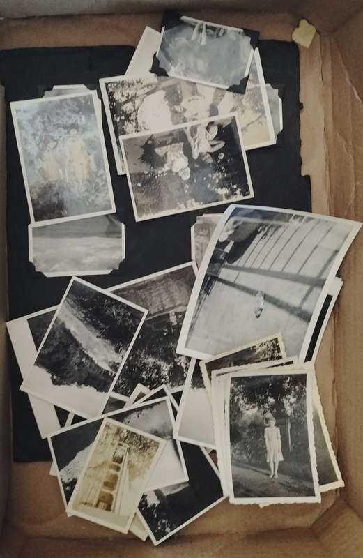 Large batch of vintage photographs (100+)