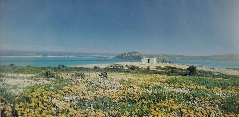 West Coast National Park - Langebaan lagoon photograph
