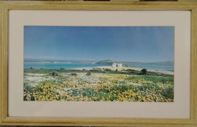 West Coast National Park - Langebaan lagoon photograph