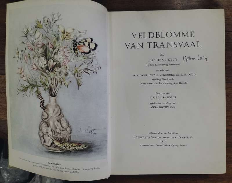 Veld blomme van Transvaal - Cythna Letty (signed)