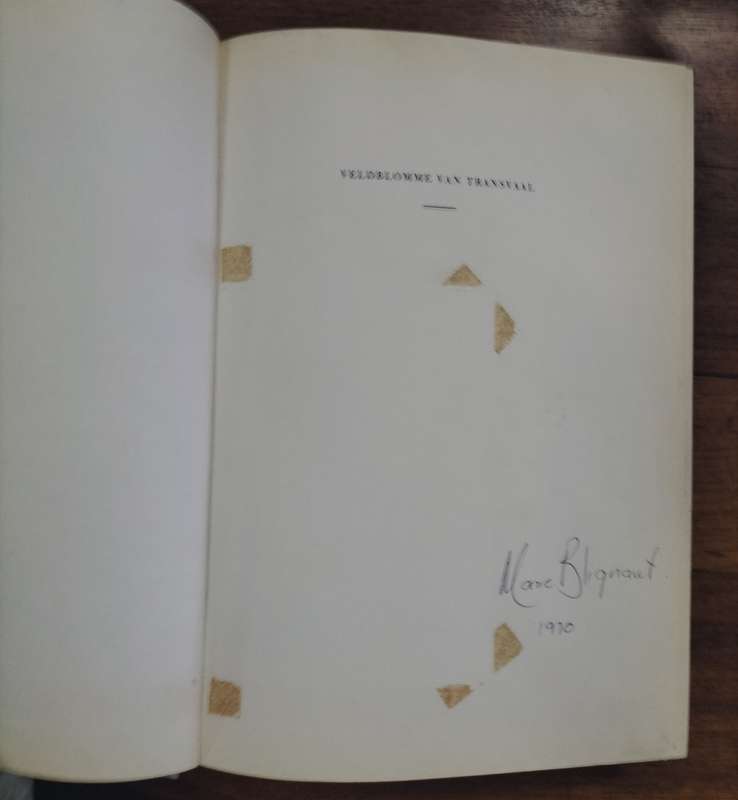 Veld blomme van Transvaal - Cythna Letty (signed)