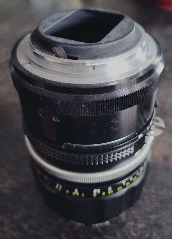 Vintage Nikon lens - Nippon 105mm f2.5