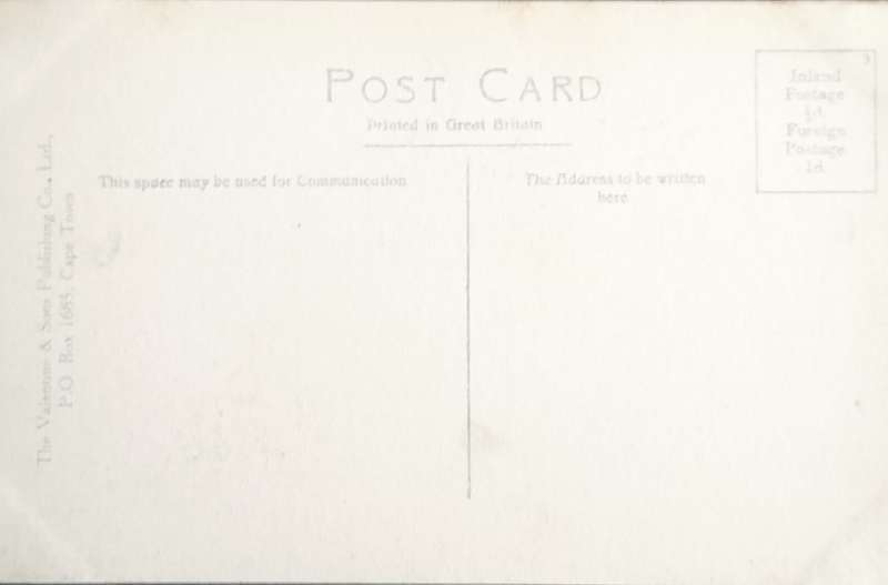 Vintage Post Card - Ostriches and Emus - Groete Schuur