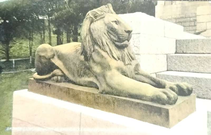 Vintage Post Card - Rhodes Memorial - Bronze Lion - Cape Town