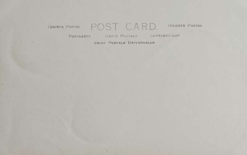 Vintage Post Card - Amajuba
