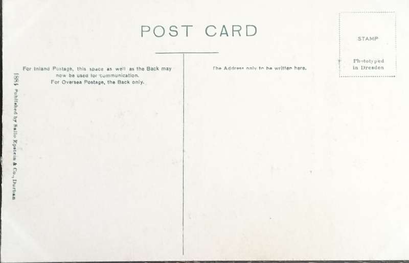 Vintage Post Card - Natal scenery