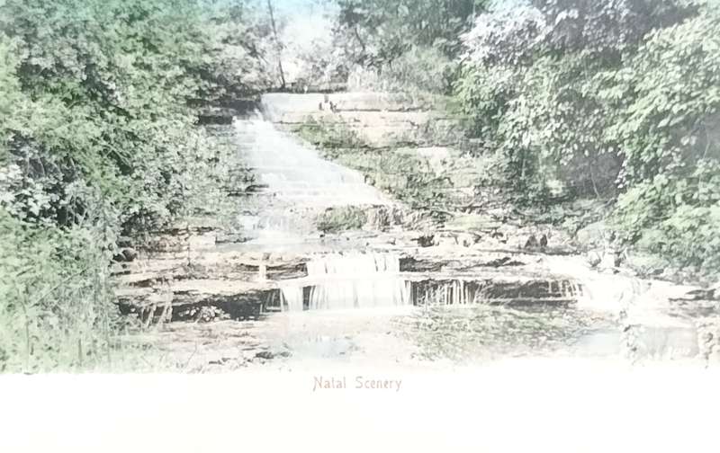 Vintage Post Card - Natal scenery
