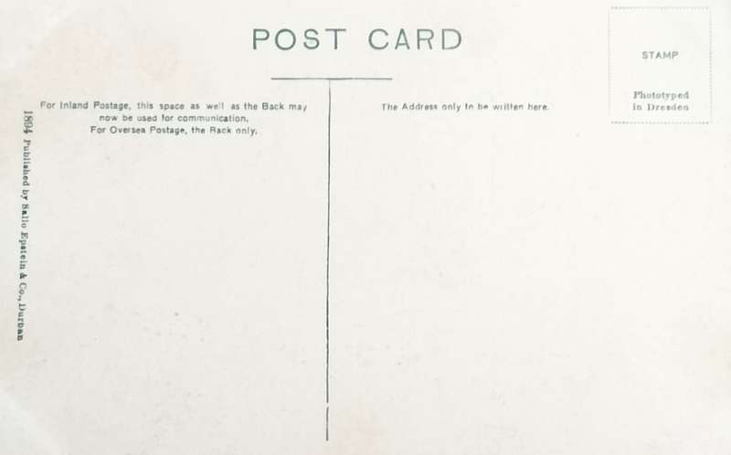 Vintage Post Card - Albert Falls