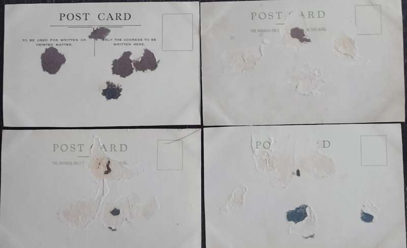 Dog racing art (4 x post cards)