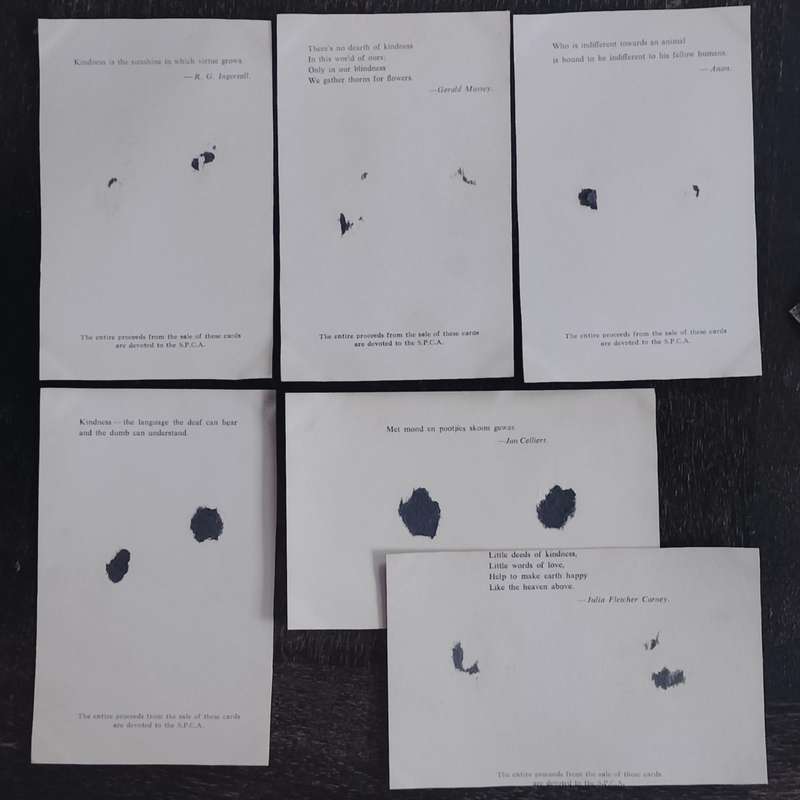 Kittens in post card format issued by SPCA (x6 - circa 1960s)