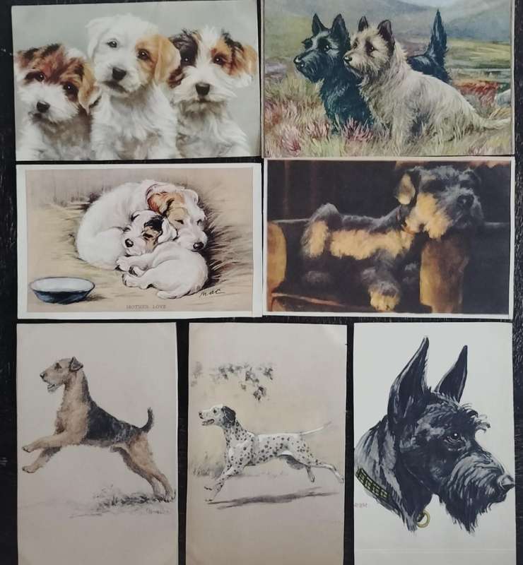 Variety of dogs in post card format (x 23)