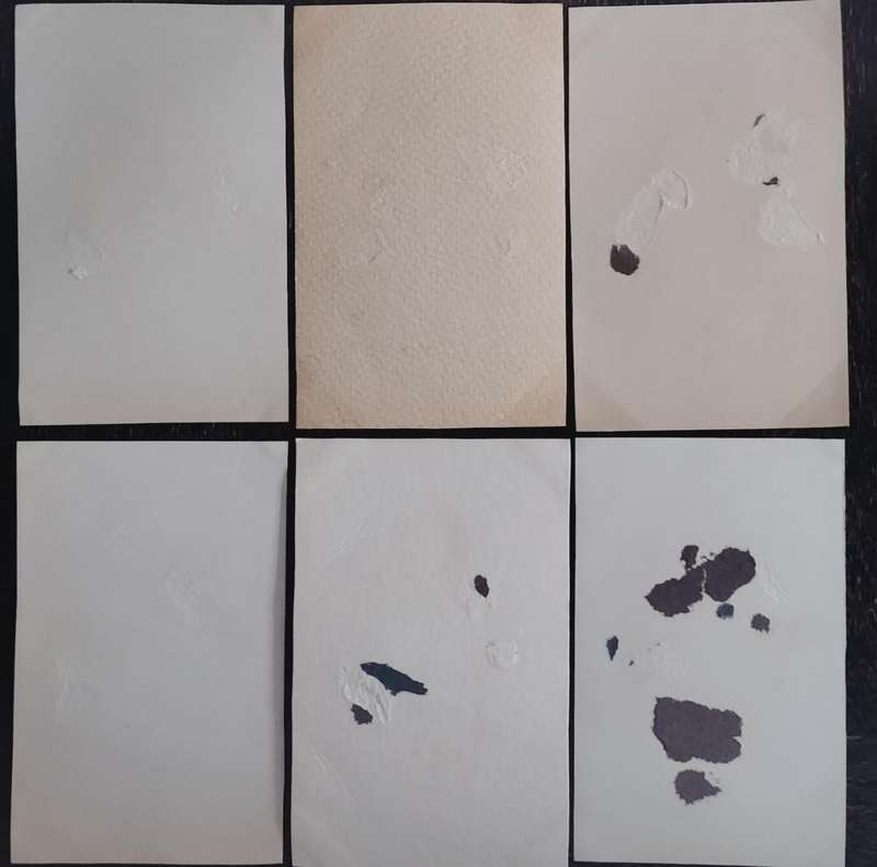 Variety of dogs in post card format (x 23)