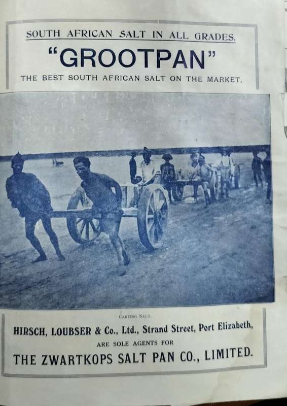 Port Elizabeth history - Hirsch Loubser - Rough goods  price list 1923 (17 pages)