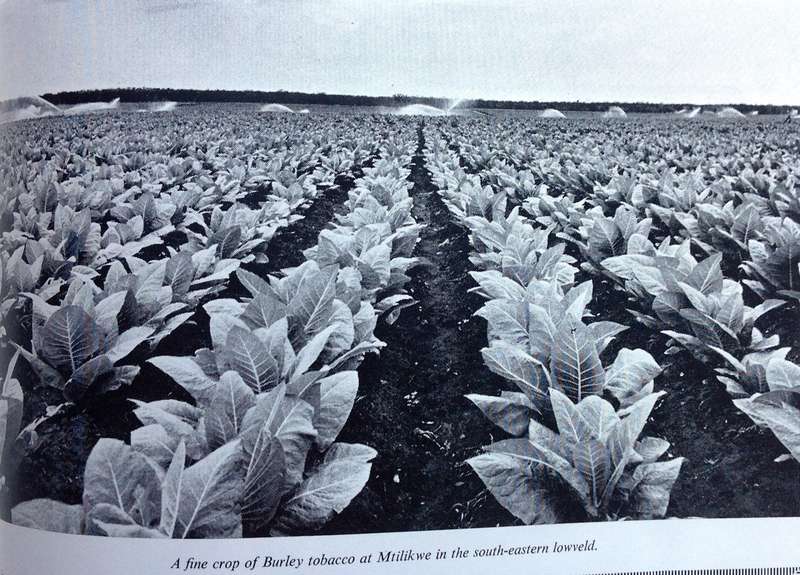 SEVENTY FIVE PROUD YEARS 1890 - 1965 - Pioneers and Progress of Rhodesia
