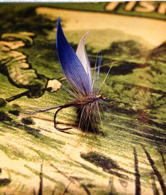 South African Fishing Flies - An Anthology of Milestone Patterns - Peter Brigg and Ed Herbst