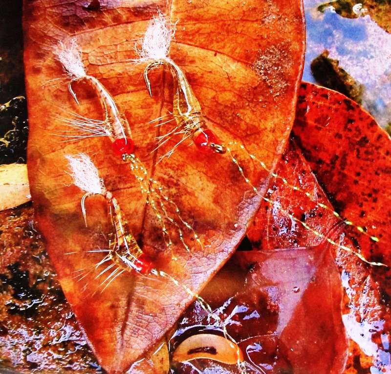South African Fishing Flies - An Anthology of Milestone Patterns - Peter Brigg and Ed Herbst