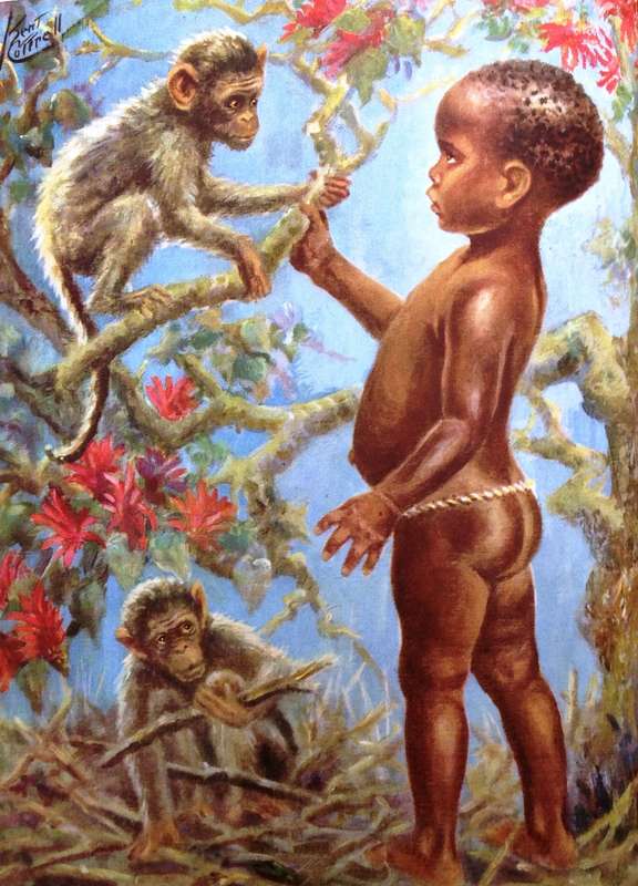 Sunburnt Africa - Kent Cottrell - Hardcover