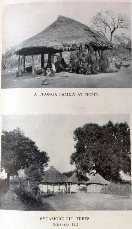 Two books - The Low-Veld - Its Wildlife and Its People - Lieut-Col J Stevenson-Hamilton - Hardcover