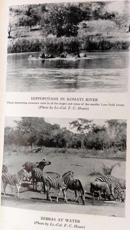 Two books - The Low-Veld - Its Wildlife and Its People - Lieut-Col J Stevenson-Hamilton - Hardcover