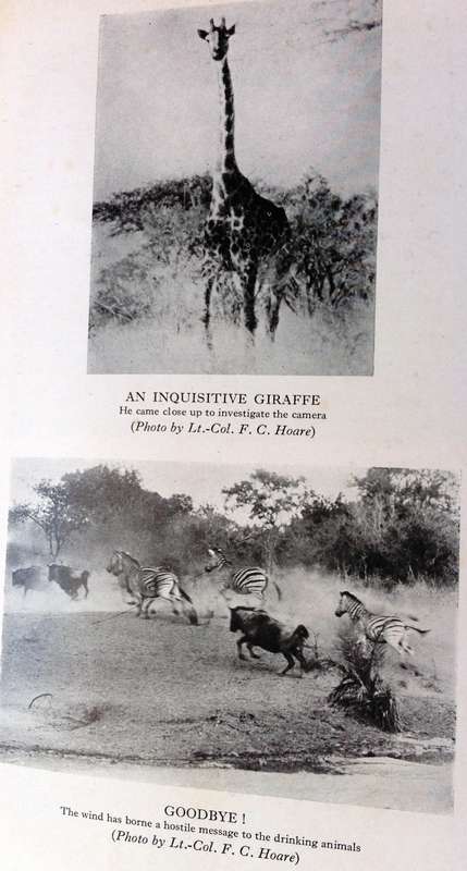 Two books - The Low-Veld - Its Wildlife and Its People - Lieut-Col J Stevenson-Hamilton - Hardcover