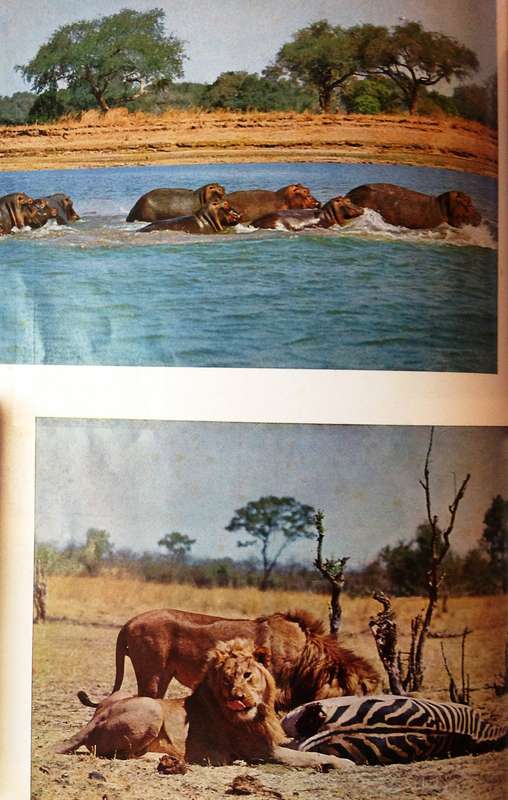 La Revue Francaise presents RHODESIA - November 1968