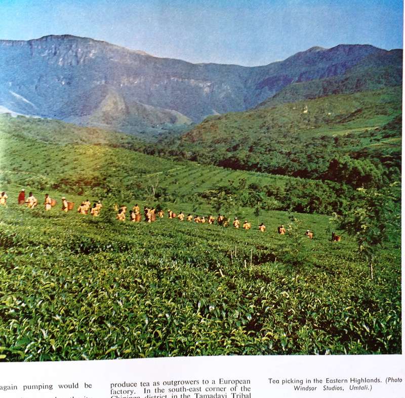 La Revue Francaise presents RHODESIA - November 1968