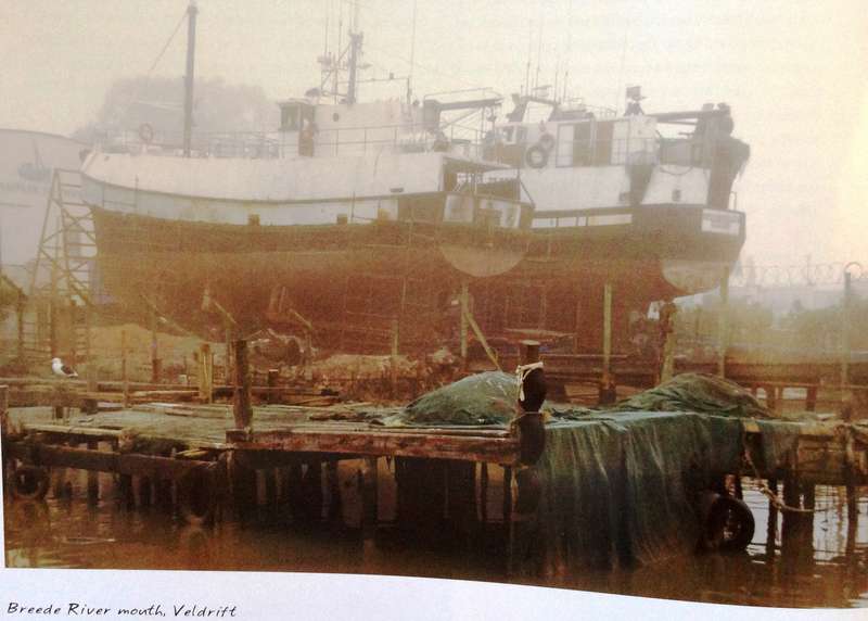 hope in thyme - A Journey along the coast of South Africa - David Grier - Signed by Author