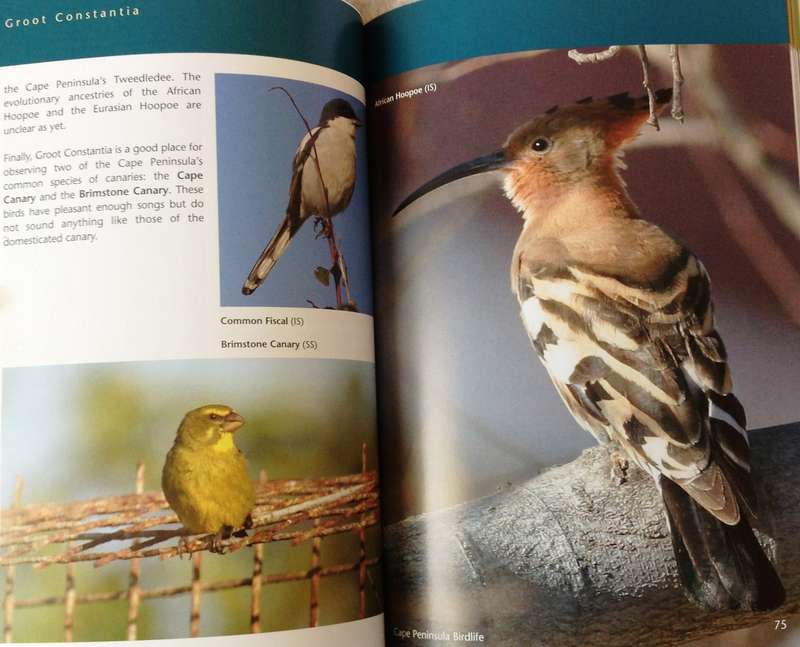 Cape Peninsula Birdlife - Roy Siegfried & Ian Sinclair
