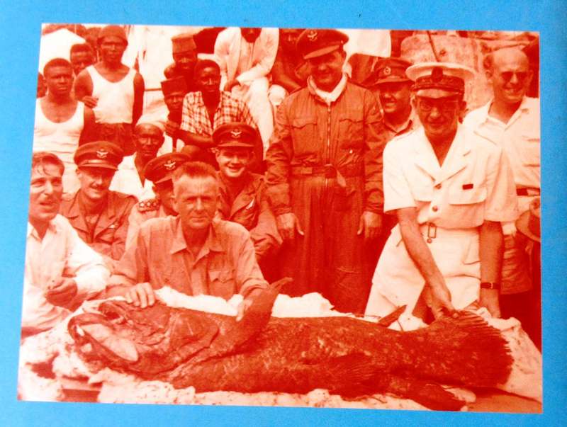 A Fish Caught in Time - The Search for the Coelacanth - Samantha Weinberg - Hardcover
