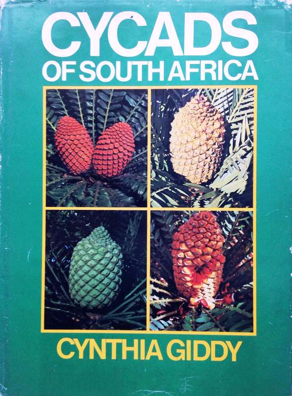 Cycads of South Africa - Cynthia Giddy - Hardcover