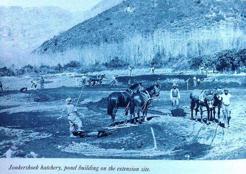 A Nature Conservationist looks back - Douglas Hey - Book signed by Author