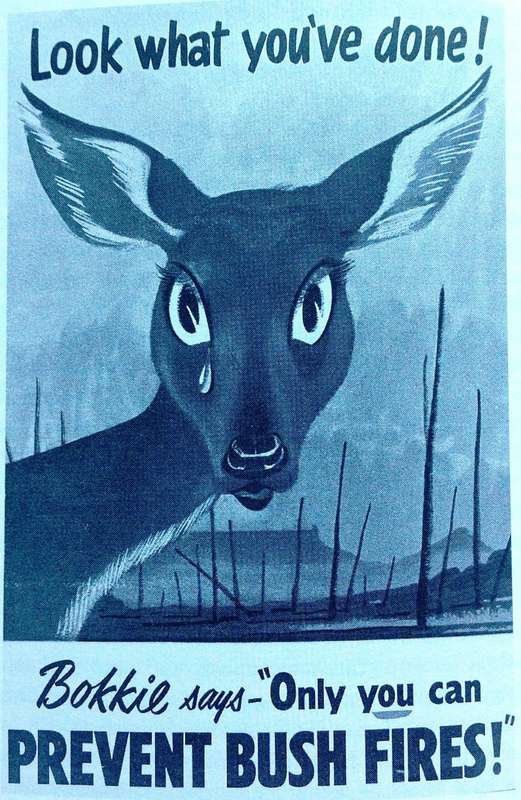 A Nature Conservationist looks back - Douglas Hey - Book signed by Author