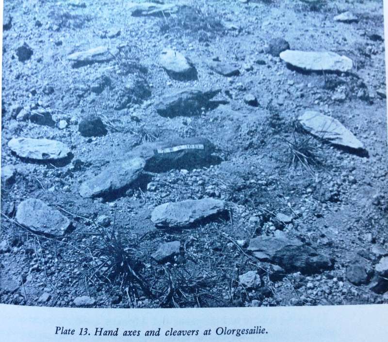 The Prehistory of East Africa - Sonia Cole - Hardcover