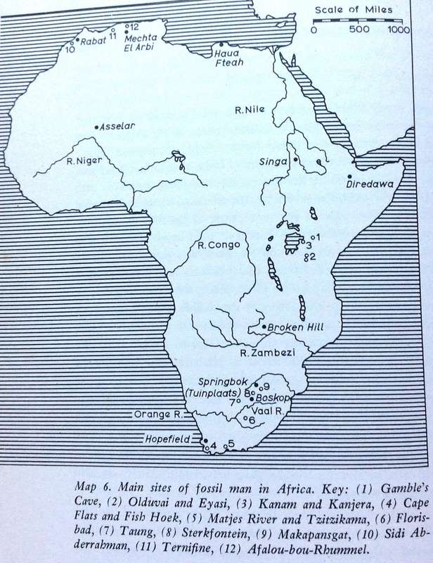 The Prehistory of East Africa - Sonia Cole - Hardcover