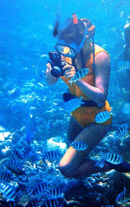 Underwater Africa - Al J. Venter - Hard Cover - book signed by Author