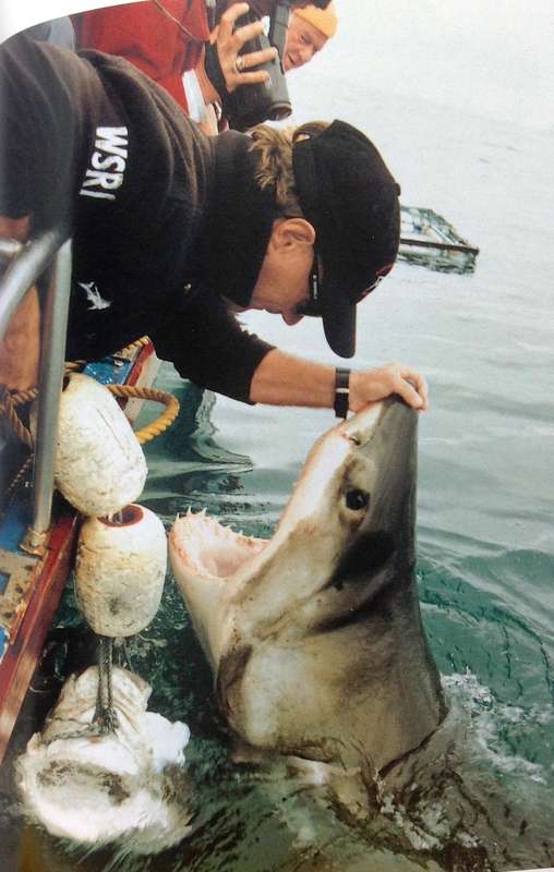 Shark Man - Theo Ferreira - My obsession with the Great White Shark
