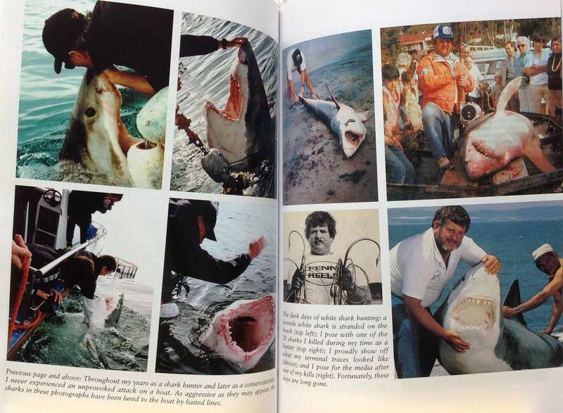 Two books - Shark Man-Theo Ferreira and Shark Attack-Tim Wallett
