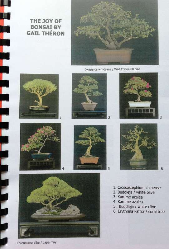 Create your own Bonsai - Lionel and Gail Theron