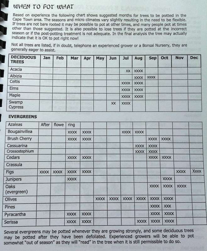 Create your own Bonsai - Lionel and Gail Theron