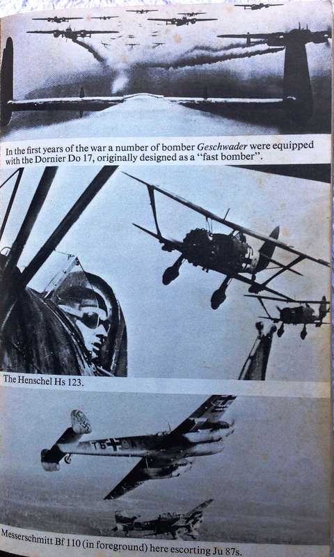 The Luftwaffe War Diaries - Illustrated - Cajus Bekker