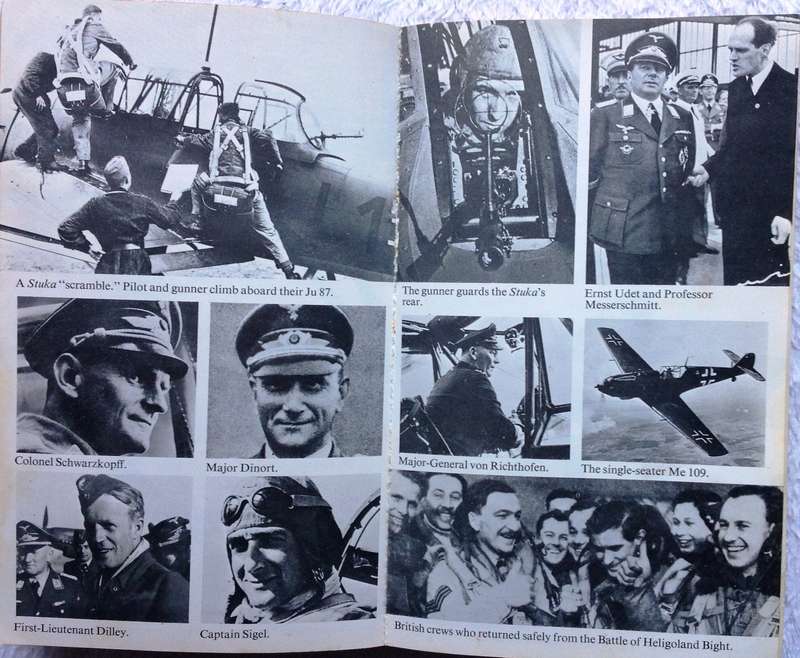 The Luftwaffe War Diaries - Illustrated - Cajus Bekker