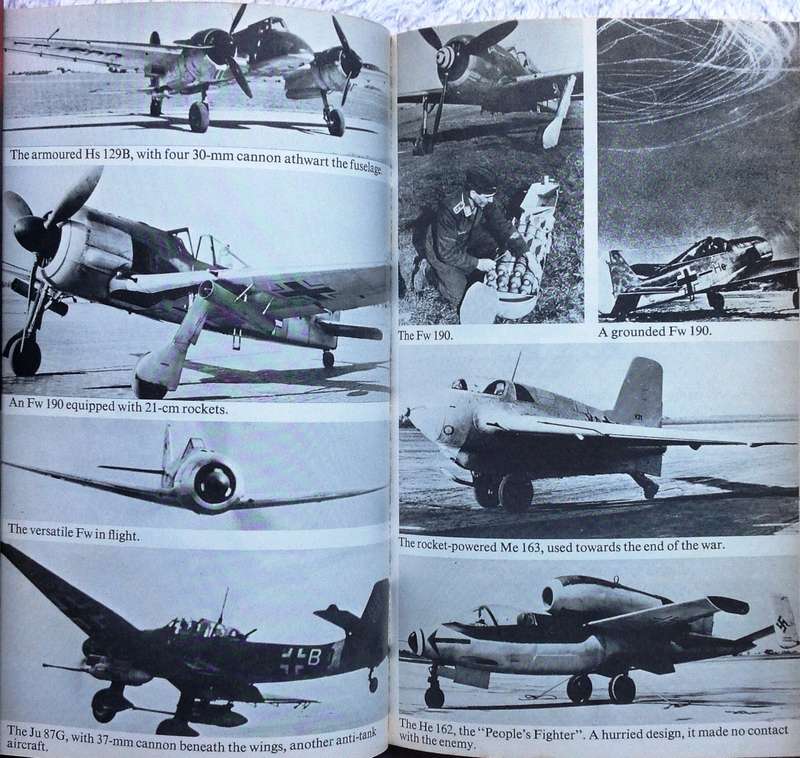The Luftwaffe War Diaries - Illustrated - Cajus Bekker