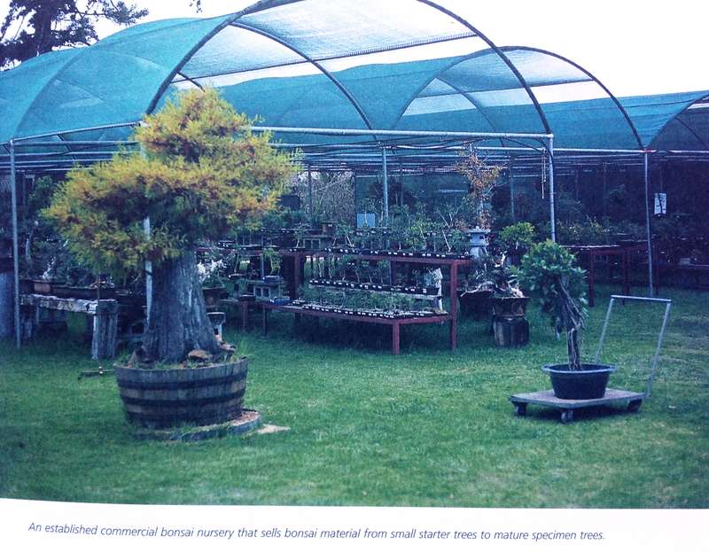 Bonsai Success in Southern Africa - Carl Morrow and Keith Kirsten
