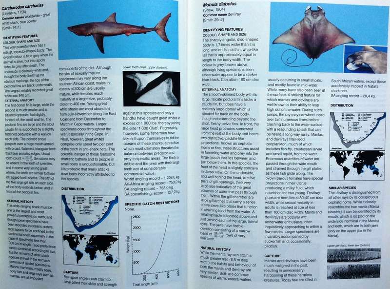 A Guide to The Common Sea Fishes of Southern Africa - Rudy Van Der Elst