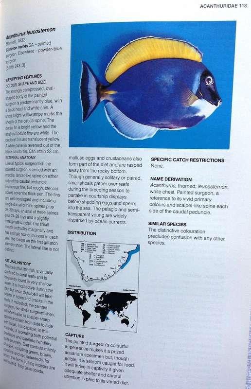 A Guide to The Common Sea Fishes of Southern Africa - Rudy Van Der Elst