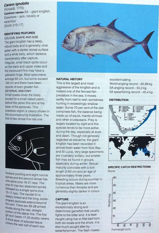 A Guide to The Common Sea Fishes of Southern Africa - Rudy Van Der Elst