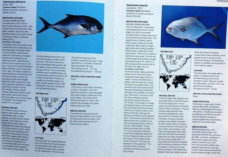 A Guide to The Common Sea Fishes of Southern Africa - Rudy Van Der Elst