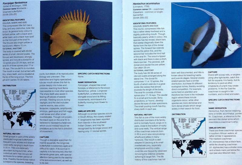 A Guide to The Common Sea Fishes of Southern Africa - Rudy Van Der Elst