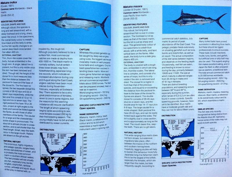 A Guide to The Common Sea Fishes of Southern Africa - Rudy Van Der Elst