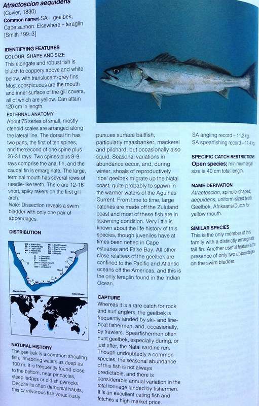 A Guide to The Common Sea Fishes of Southern Africa - Rudy Van Der Elst